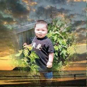 Meet your Posher, Ilvea